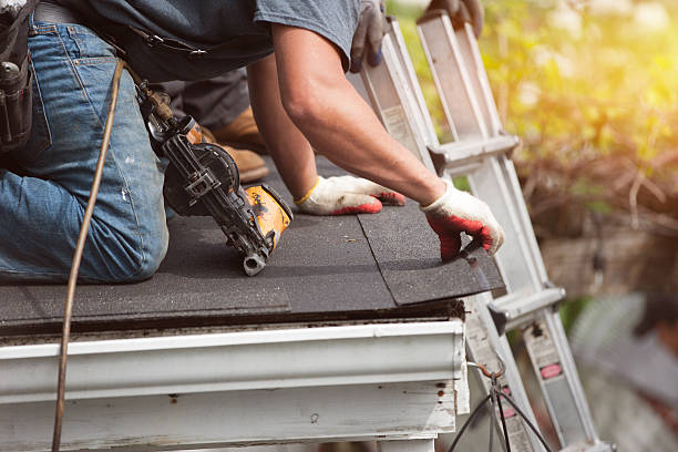 Best Gutter Installation and Roofing  in Hollywood, FL