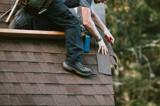 Best Shingle Roofing Installation  in Hollywood, FL